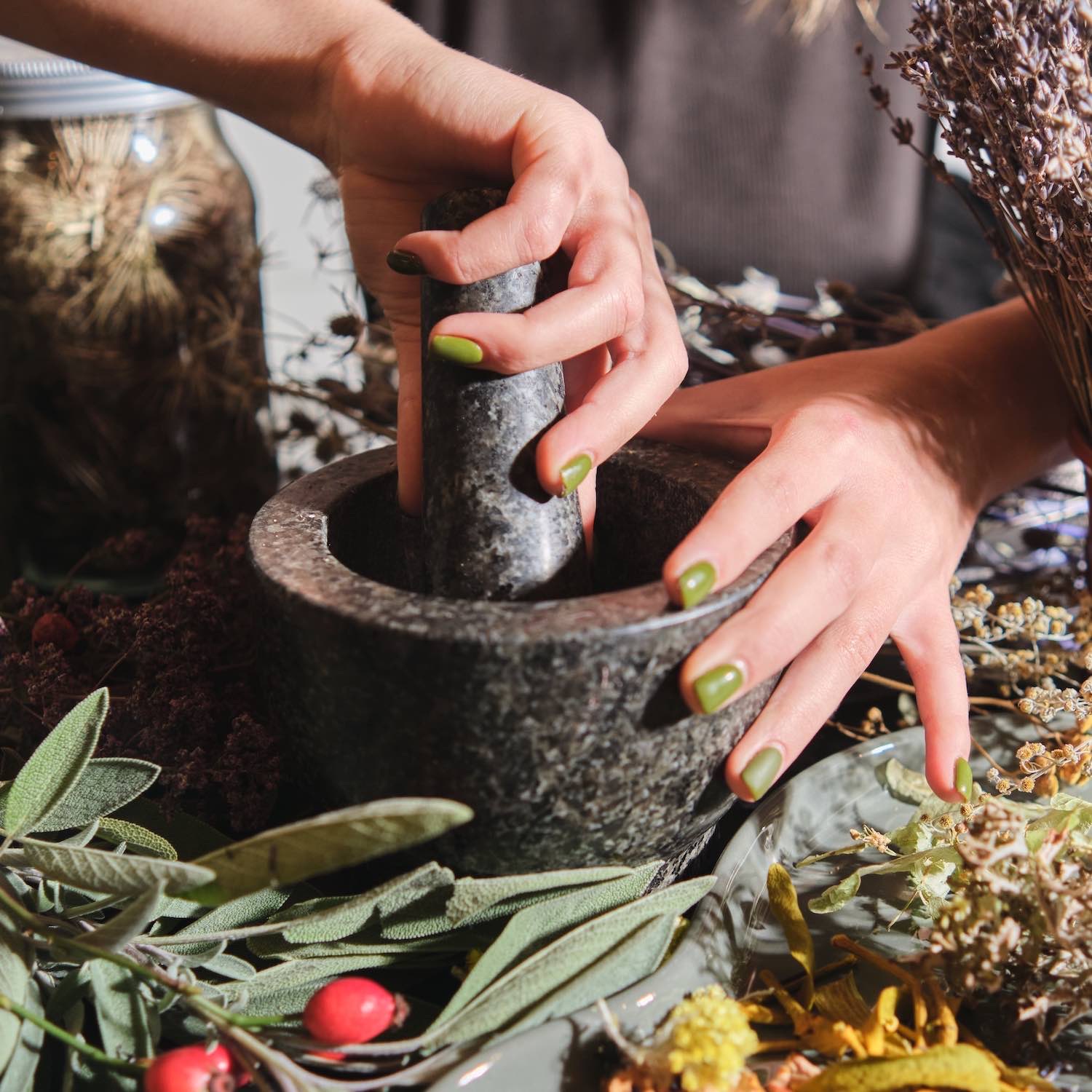 phytotherapie-pharmacie-du-centre-le-pouliguen